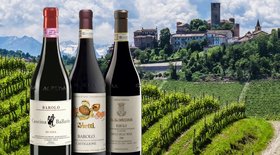5fbc0ad2428597e7fcf7ff34_barolo-wine-2.jpg