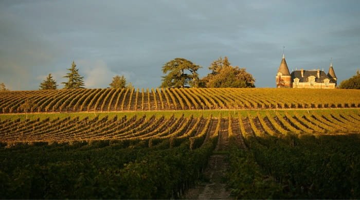 Climate and Geography of Sauternes