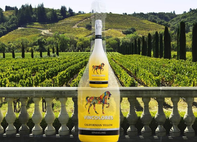 5fe1fff6a8373dd5d5e1f278_sauvignon-blanc-californian-sauvignon-blanc.jpg