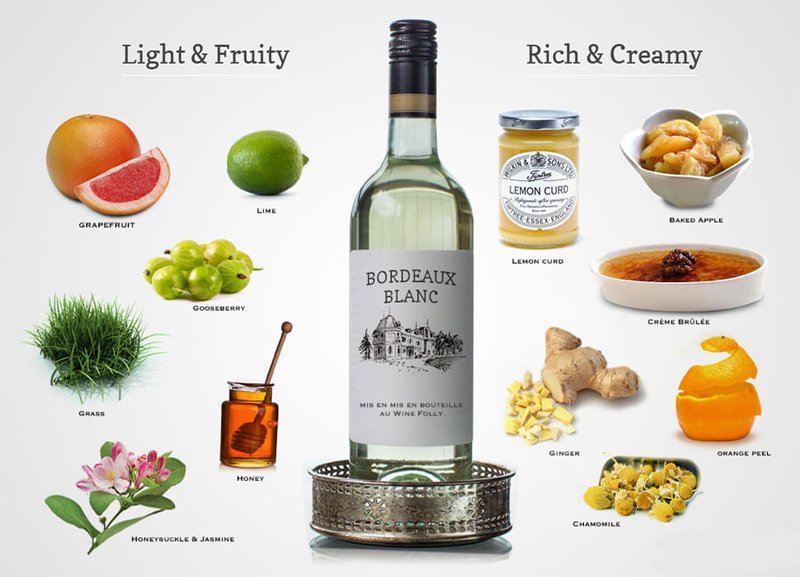 5fe205e5067780569a62fe63_sauvignon-blanc-Sauvignon-Blanc-in-Blends.jpg