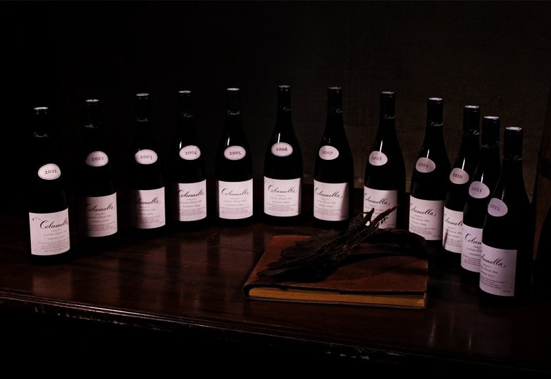 6009bb012a0bbd254b493510_shiraz-wine-investing.jpg