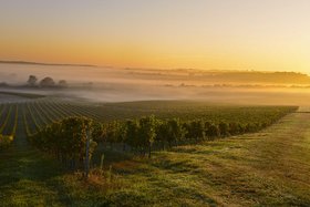 Chateau Montrose: vineyards, best wines
